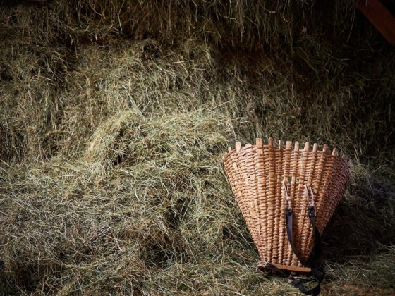 Hofmanukfaktur Kral Heu