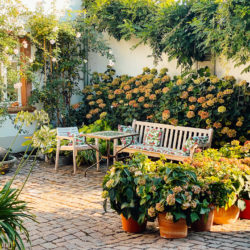 Innenhof Julius in der Pfalz mit Blumen