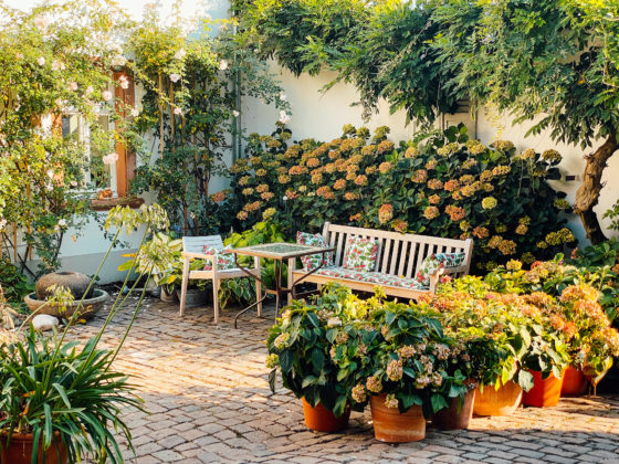 Innenhof Julius in der Pfalz mit Blumen