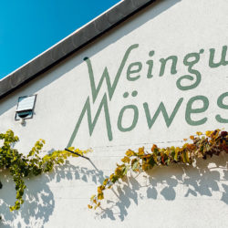 Weingut Möwes in der Pflalz