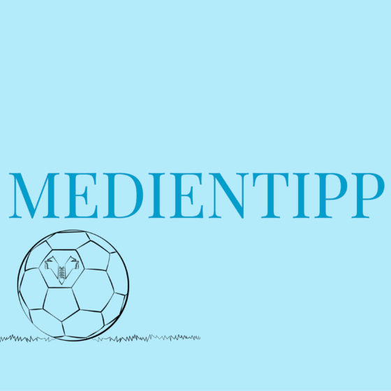 Medientipp Buchtipp Gardasee Eine Saison mit Verona Tim Parks