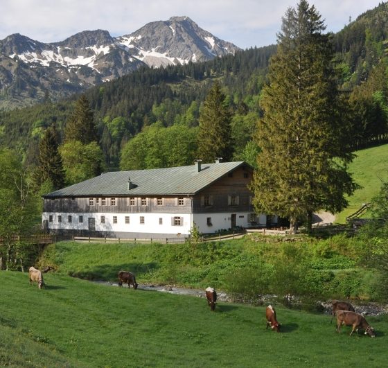 Geheimtipp Allgäu Alpe Mitterhaus