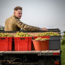 Weintipp Bodensee Auftricht