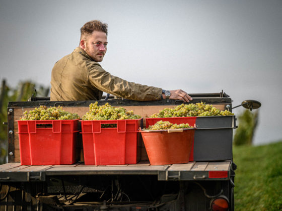 Weintipp Bodensee Auftricht