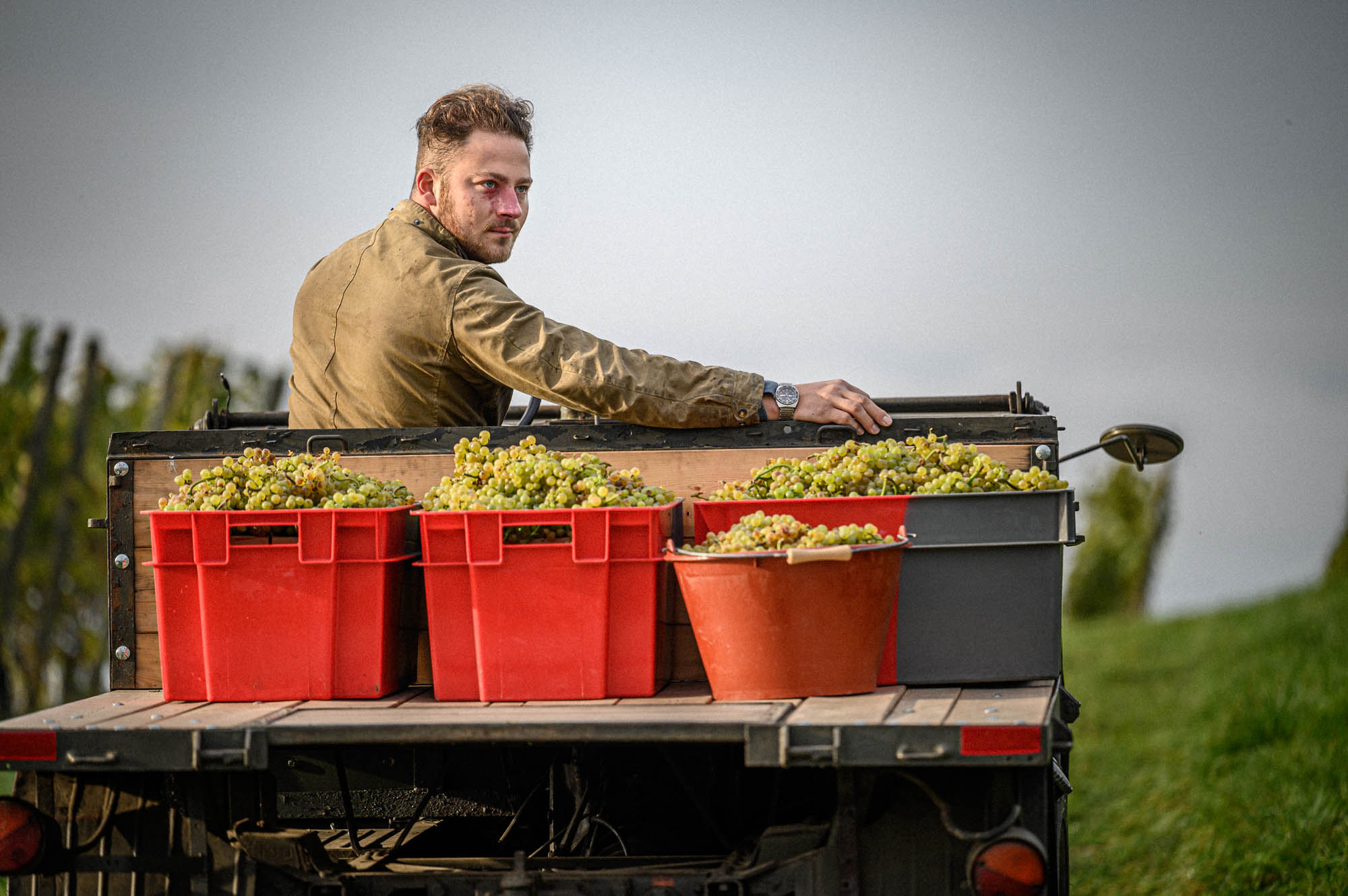 Weintipp Bodensee Auftricht