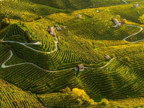 Geheimtipp Prosecco Cartizze