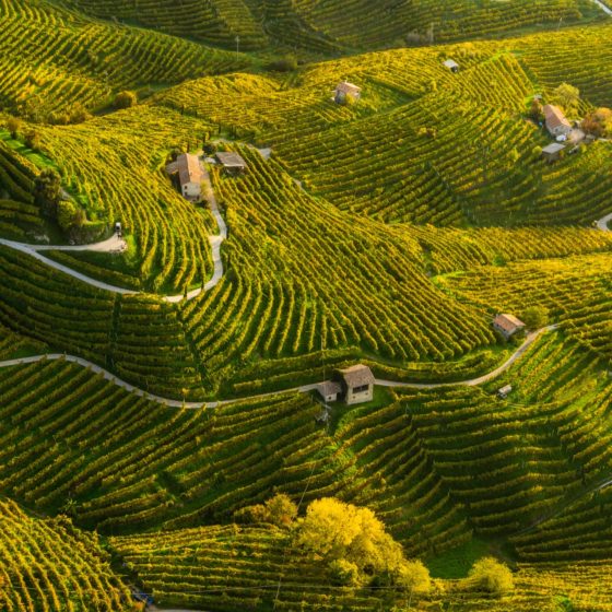 Geheimtipp Prosecco Cartizze