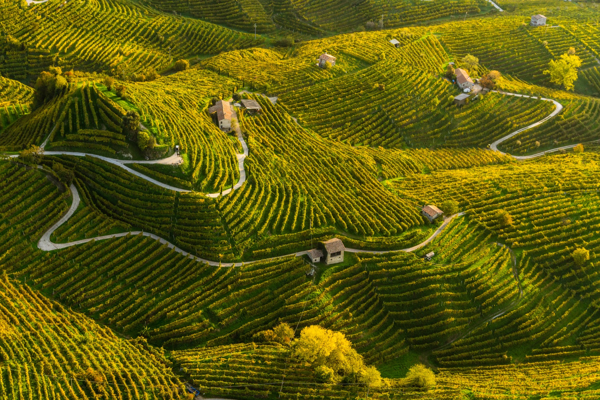 Geheimtipp Prosecco Cartizze