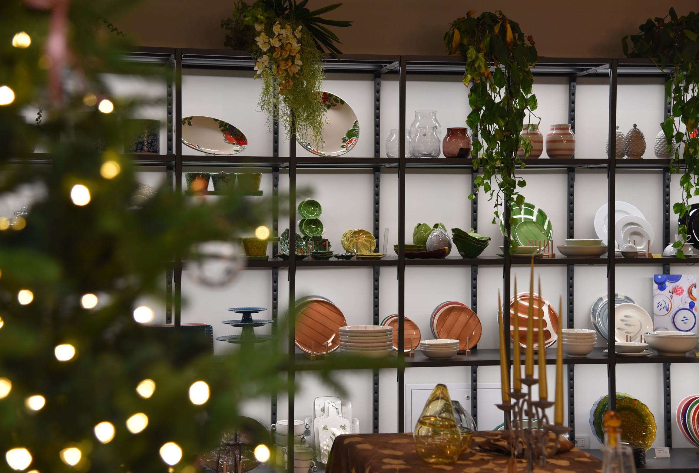 Einkaufstipp Prosecco Zafferano