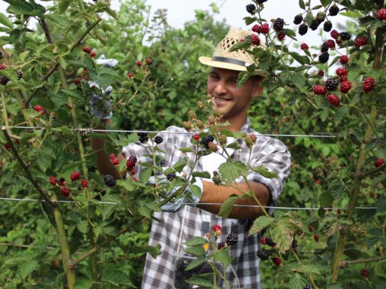 Einkaufstipp Prosecco Nonno Andrea