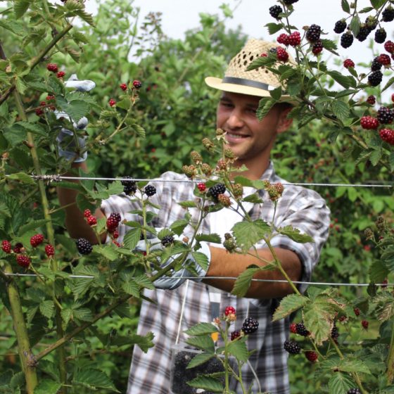 Einkaufstipp Prosecco Nonno Andrea