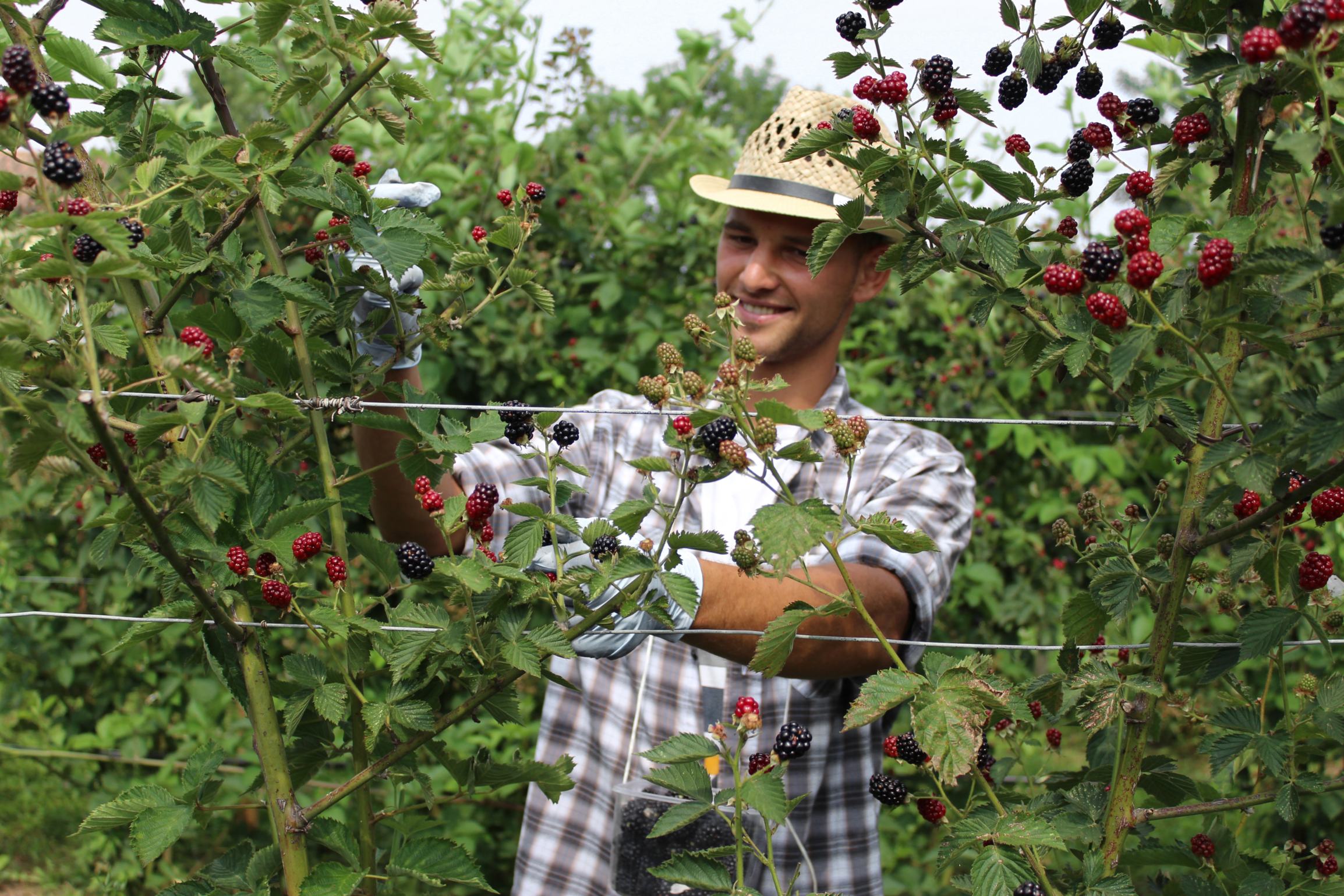 Einkaufstipp Prosecco Nonno Andrea