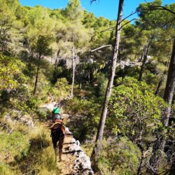 Naturacavall Geheimtipp Mallorca Pferde Ausritt