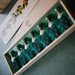 Rochelt Schnapp Tirol