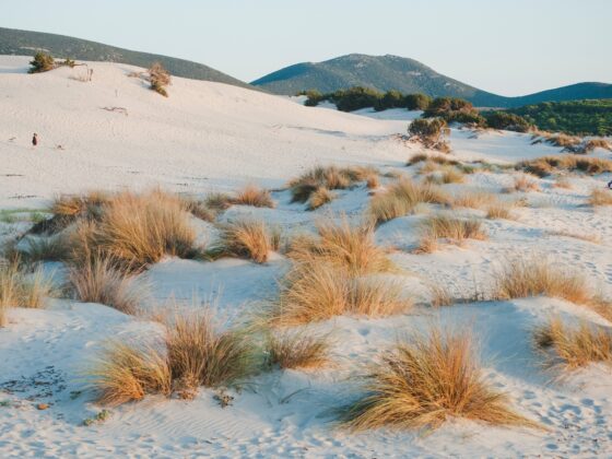 Medientipp-Buchtipp Sardinien: Grazia Deledda