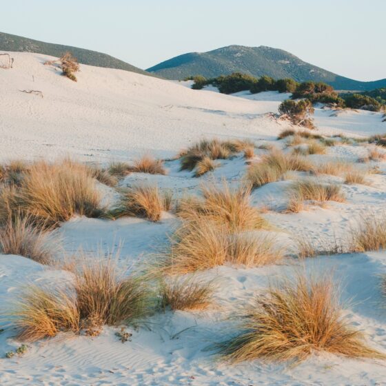 Medientipp-Buchtipp Sardinien: Grazia Deledda