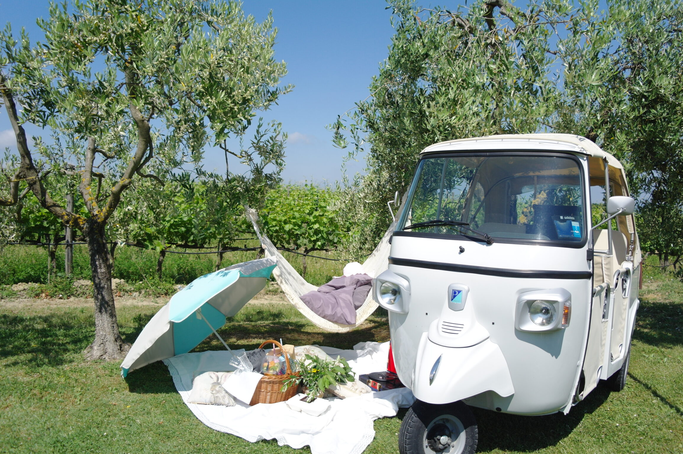 Chicnic Ape Weinberg Toskana