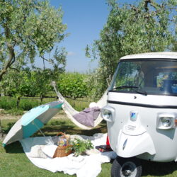 Chicnic Ape Weinberg Toskana