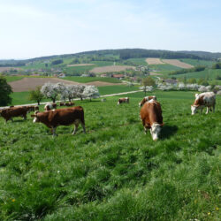 Rottal Tipps Niederbayern