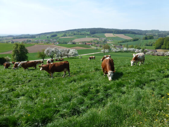 Rottal Tipps Niederbayern