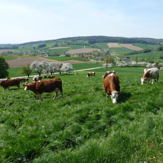 Rottal Tipps Niederbayern