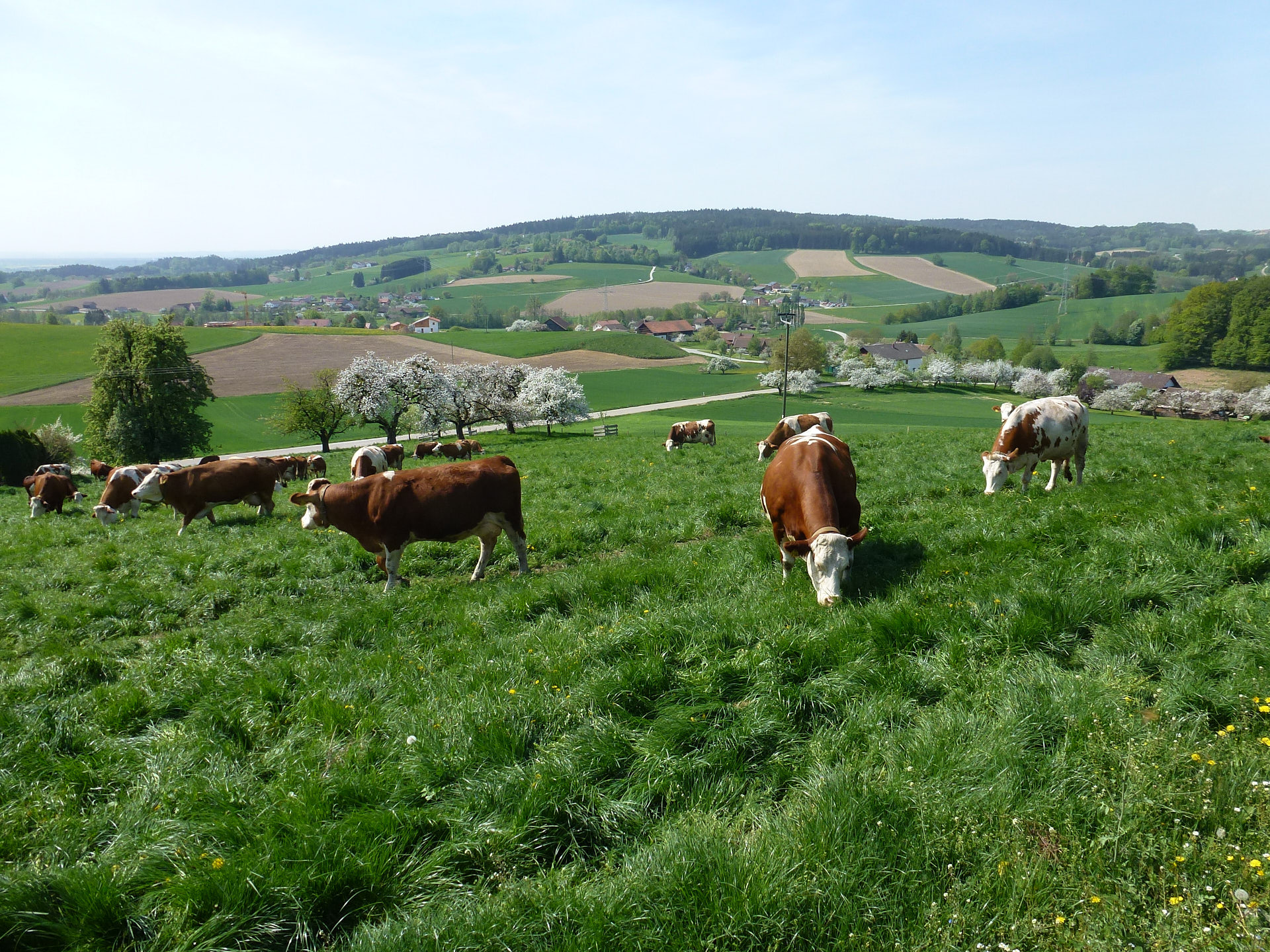 Rottal Tipps Niederbayern