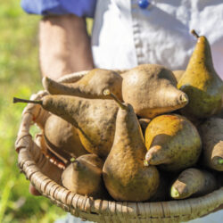 Rottal Tipps Niederbayern