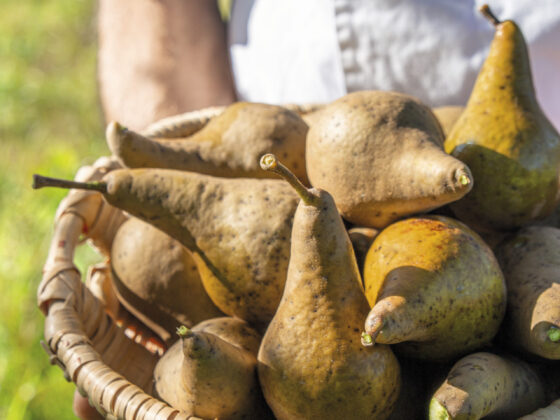 Rottal Tipps Niederbayern