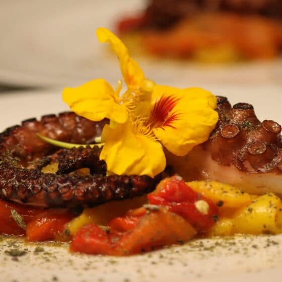 Pulpo Rezept Versilia