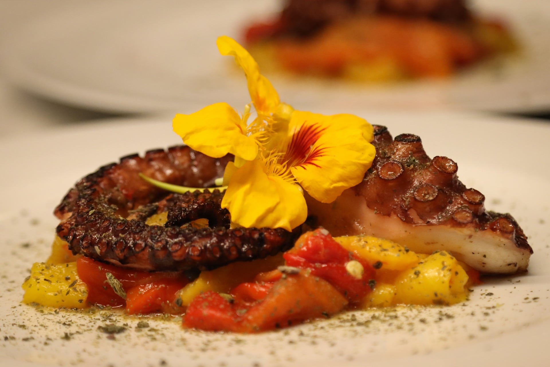 Pulpo Rezept Versilia
