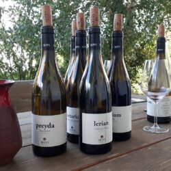 Seppi Weine Kaltern Südtirol