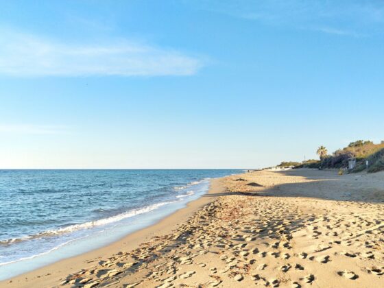 Buchtipp Paolo Giordano Den Himmel stürmen