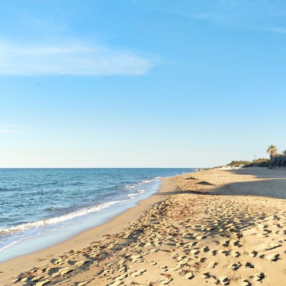 Buchtipp Paolo Giordano Den Himmel stürmen
