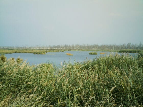 Geheimtipps Mecklenburg Vorpommern
