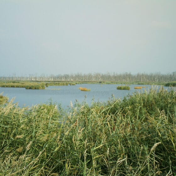 Geheimtipps Mecklenburg Vorpommern