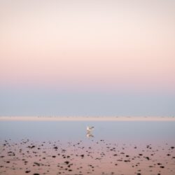 Geheimtipps Ostfriesland