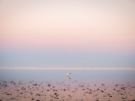 Geheimtipps Ostfriesland