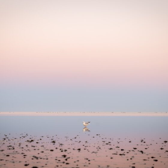 Geheimtipps Ostfriesland