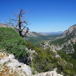 Geheimtipps Sardinien Landesinneres