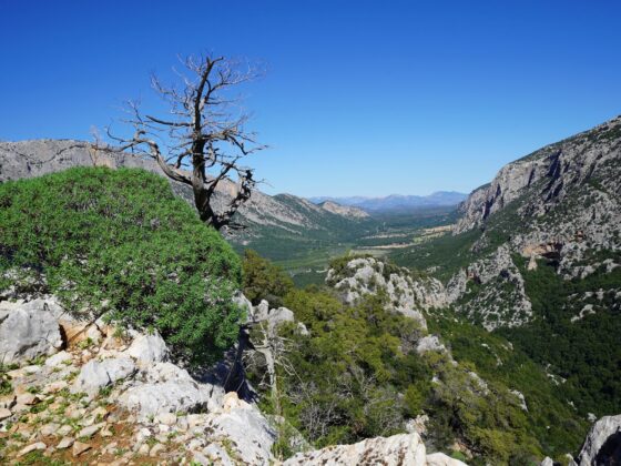 Geheimtipps Sardinien Landesinneres