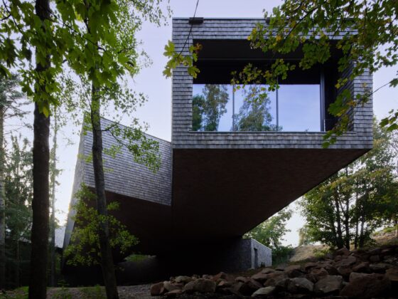 Erlebnistipp Schwarzwald Nationalpark Ruhestein