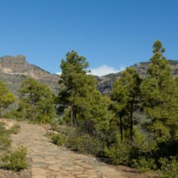 Erlebnistipp Jakobsweg Gran Canaria