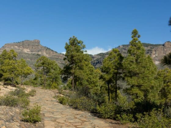 Erlebnistipp Jakobsweg Gran Canaria