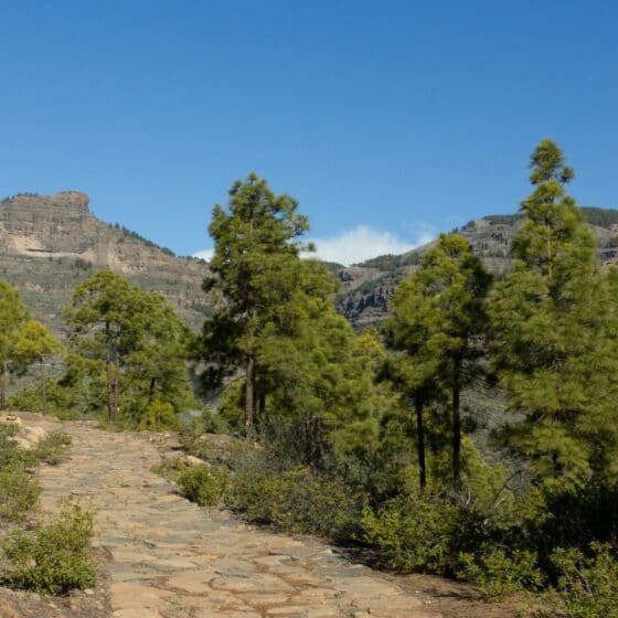 Erlebnistipp Jakobsweg Gran Canaria
