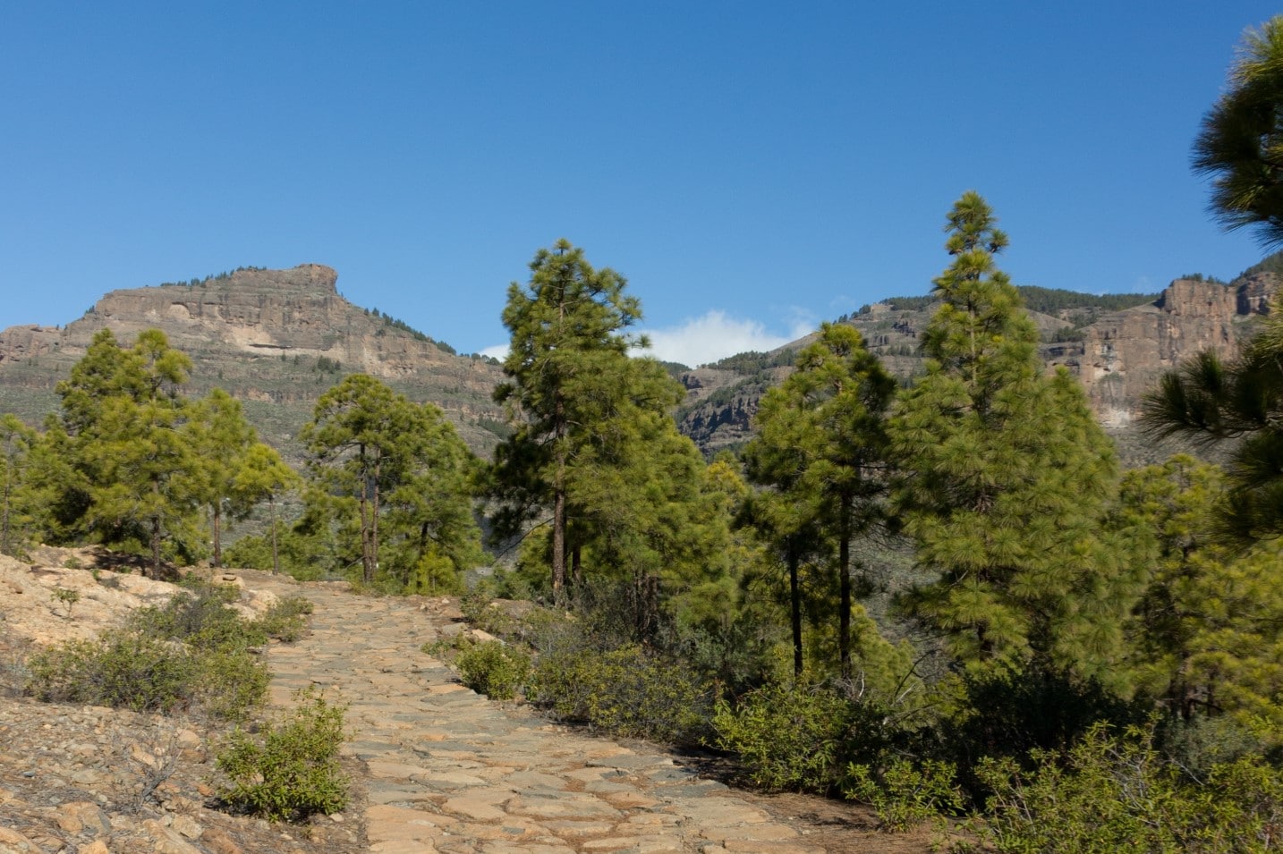 Erlebnistipp Jakobsweg Gran Canaria
