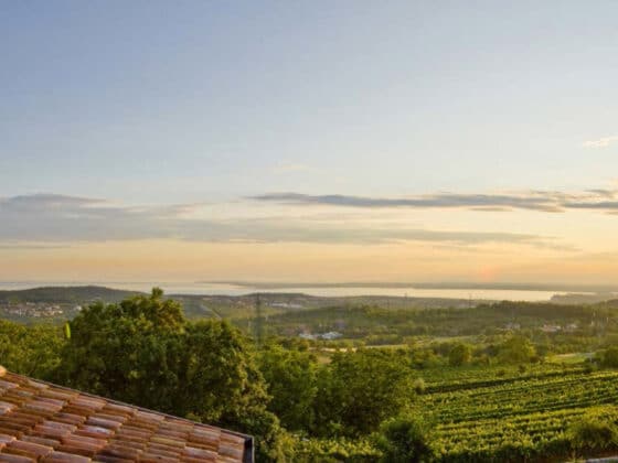 Benjamin Zidarich - Weintipp Friaul-Julisch Venetien