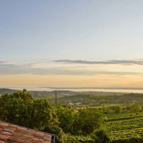 Benjamin Zidarich - Weintipp Friaul-Julisch Venetien