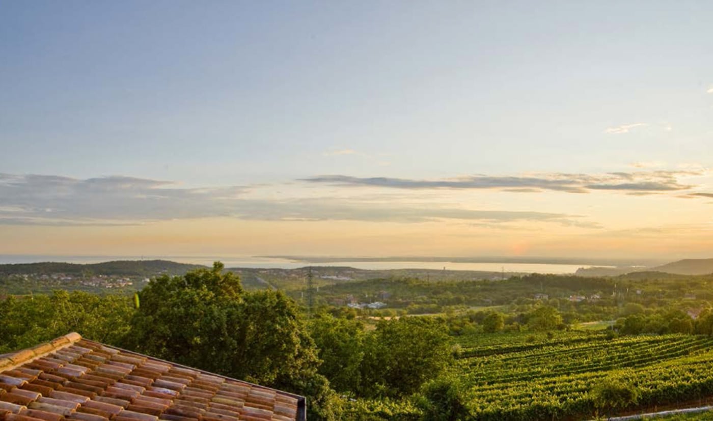 Benjamin Zidarich - Weintipp Friaul-Julisch Venetien