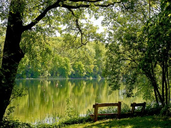 Günter Grass - Erlebnistipp Lübeck
