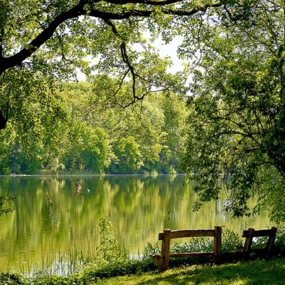 Günter Grass - Erlebnistipp Lübeck